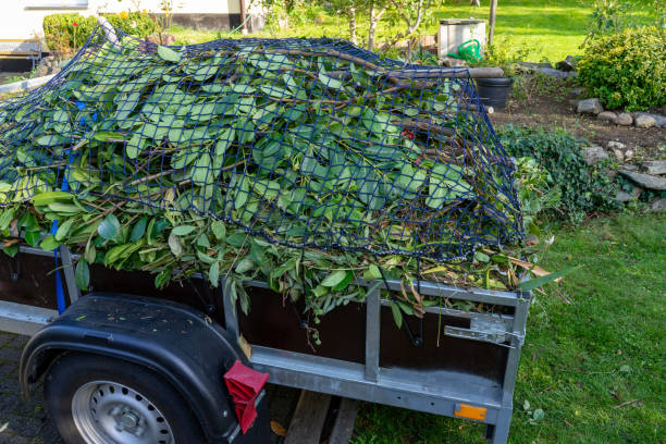 Best Mattress Disposal  in Live Oak, FL